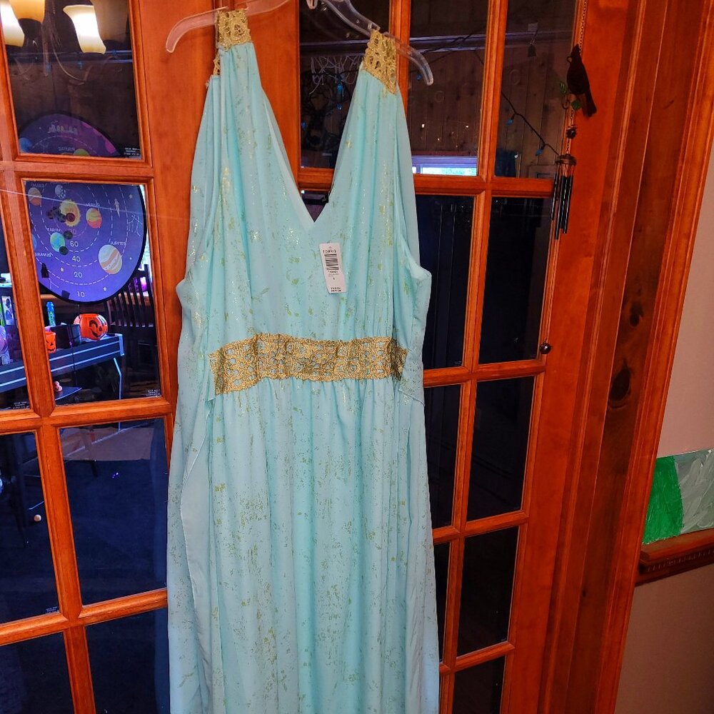 Plus size costume